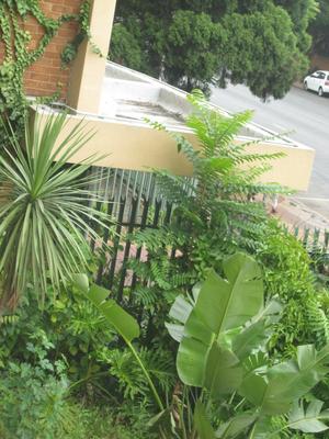 Apartment / Flat For Rent in Arcadia, Pretoria