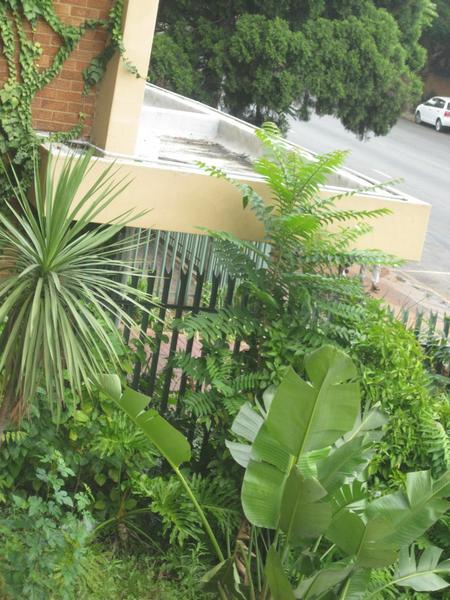 Apartment / Flat For Rent in Arcadia, Pretoria