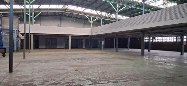 Industrial Property For Rent in Industria, Johannesburg